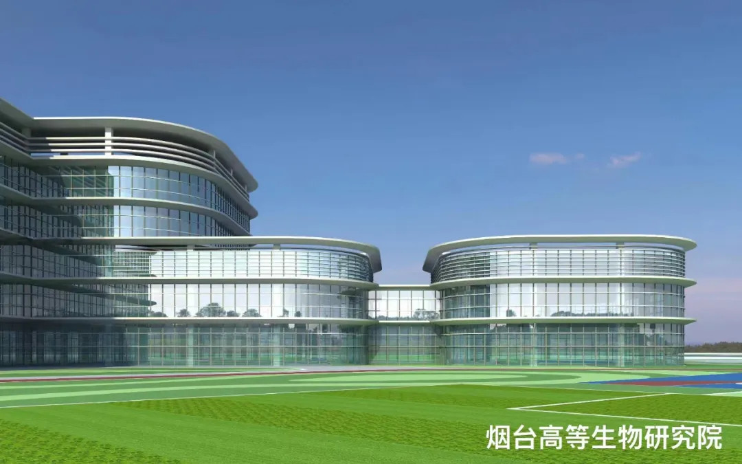 大跨度 高精度 超節(jié)能|鳳鋁助力煙臺(tái)城市更新，展登州新貌